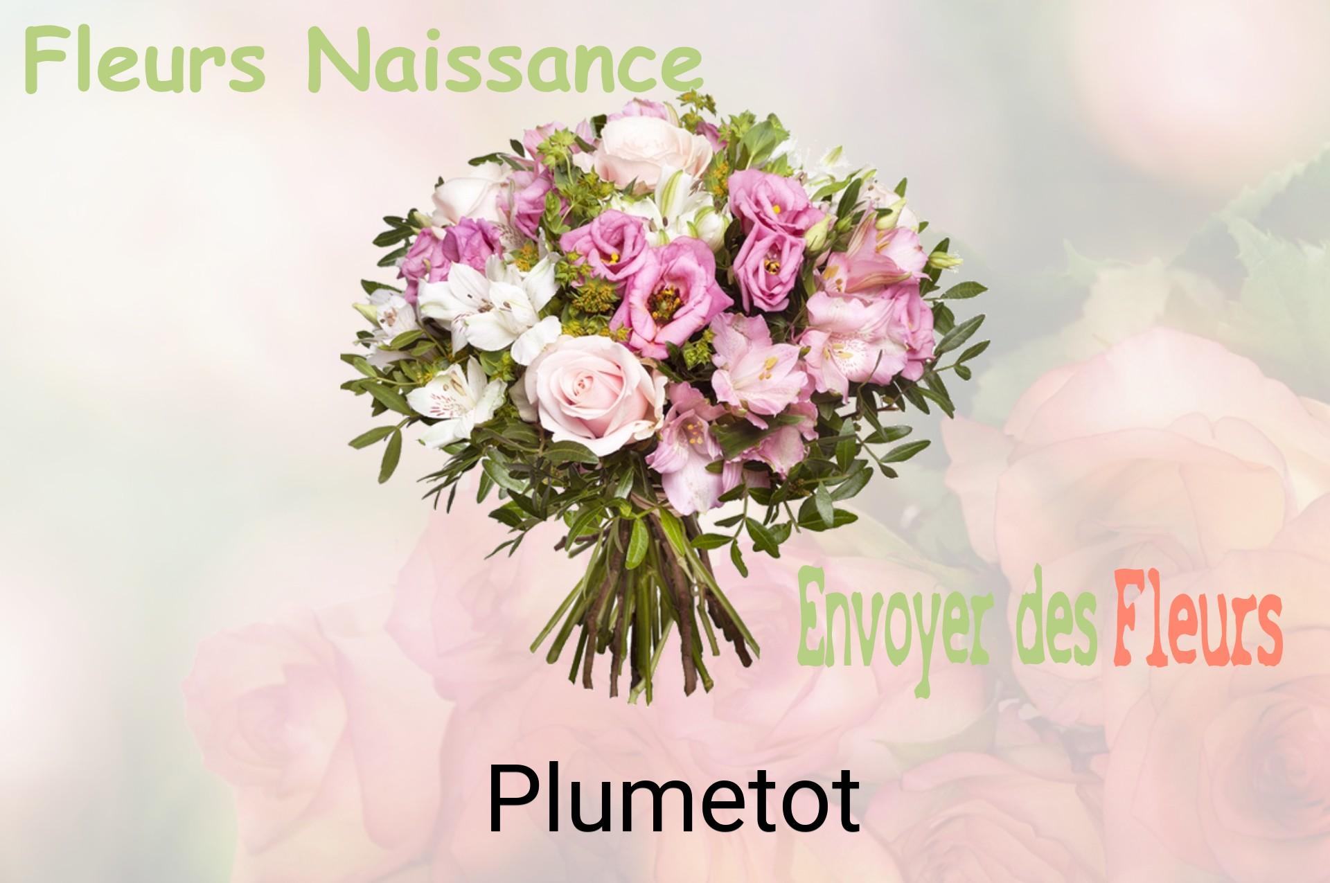 Bouquet de fleurs de naissance livré à Plumetot
